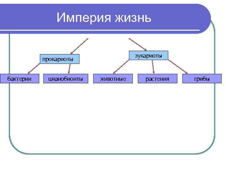 Организмы надцарства прокариот и эукариот