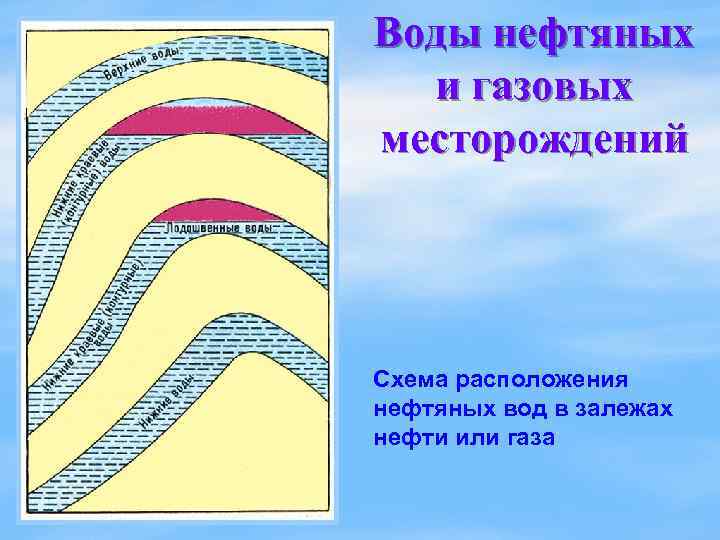 Воды нефтяных и газовых месторождений Схема расположения нефтяных вод в залежах нефти или газа