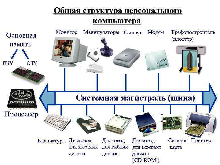 Общая структура персонального компьютера Монитор Основная память ПЗУ Манипуляторы Сканер Модем Графопостроитель (плоттер) ОЗУ