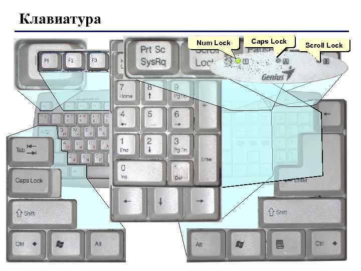 Клавиатура Num Lock Caps Lock Scroll Lock 44 