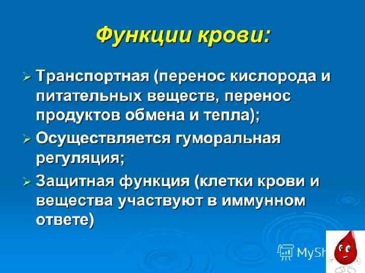 Основные функции крови 