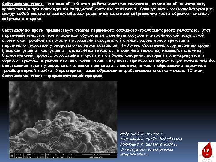 Свёртывание крови – это важнейший этап работы системы гемостаза, отвечающей за остановку кровотечения при