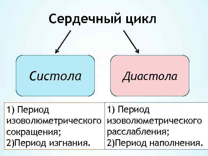 Сердечный цикл Систола 1) Период изоволюметрического сокращения; 2)Период изгнания. Диастола 1) Период изоволюметрического расслабления;