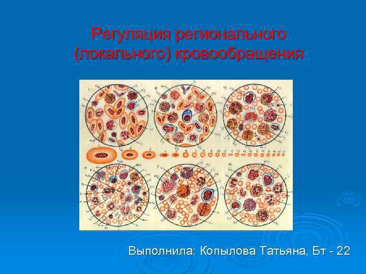 Регуляция регионального (локального) кровообращения Выполнила: Копылова Татьяна, Бт - 22 