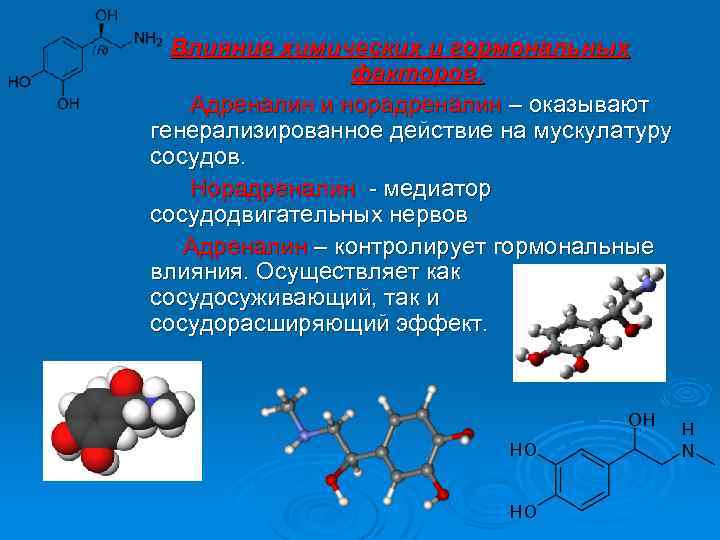 Влияние химических и гормональных факторов. Адреналин и норадреналин – оказывают генерализированное действие на мускулатуру