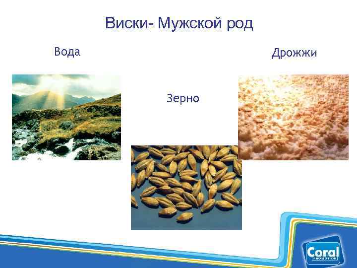 Виски- Мужской род Вода Дрожжи Зерно 