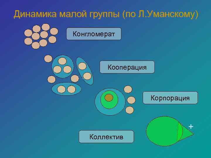 Динамика малой группы (по Л. Уманскому) Конгломерат Кооперация Корпорация + Коллектив 