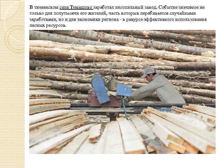 В тюменском селе Тумашово заработал лесопильный завод. Событие значимое не только для полутысячи его