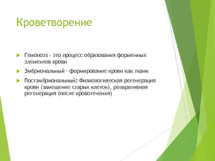 Кроветворение Гемопоэз – это процесс образования форменных элементов крови Эмбриональный – формирование крови как