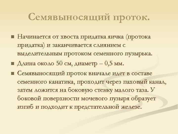 Семявыносящий проток. n n n Начинается от хвоста придатка яичка (протока придатка) и заканчивается