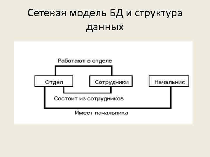 Сетевая модель БД и структура данных 