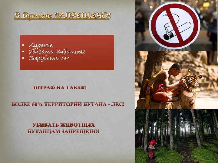 В Бутане ЗАПРЕЩЕНО! § Курение § Убивать животных § Вырубать лес 