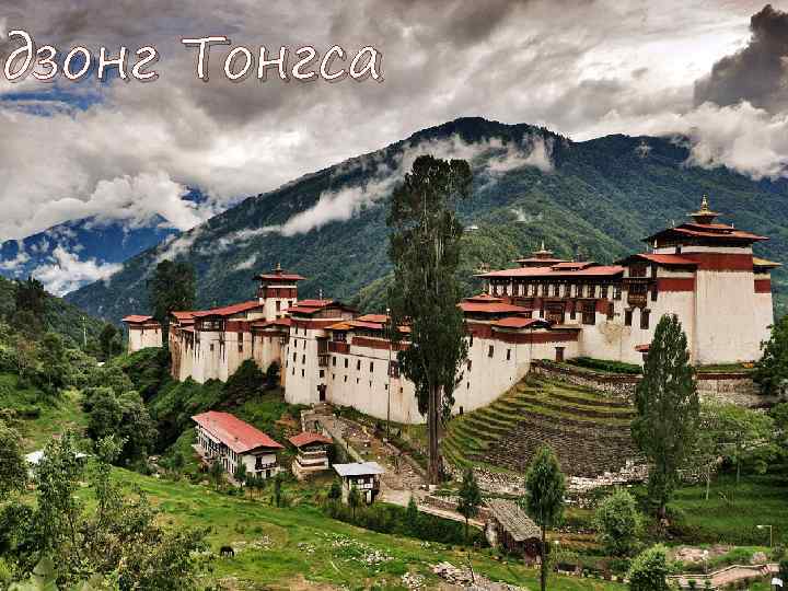 дзонг Тонгса 