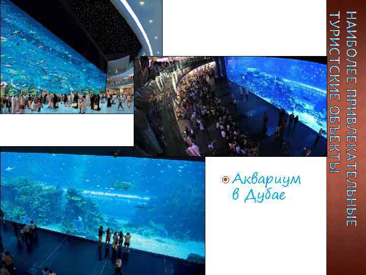  Аквариум в Дубае 