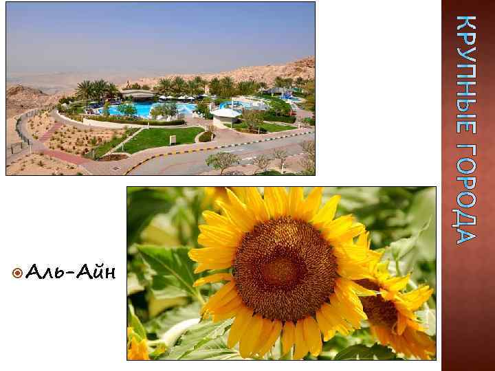  Аль-Айн 