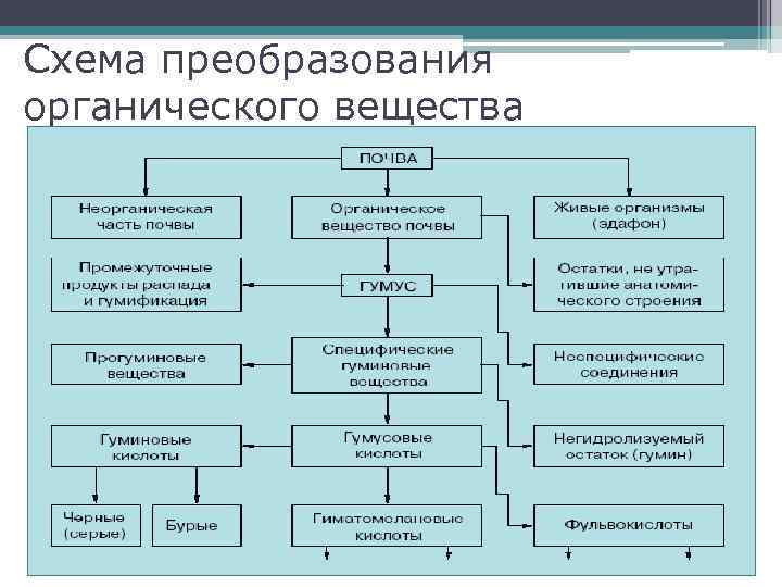 Схема преобразования органического вещества 