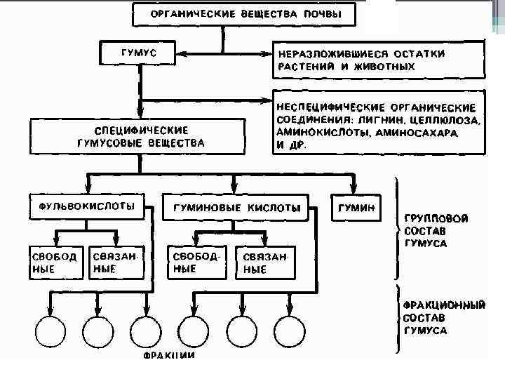 Химические вещества в почве