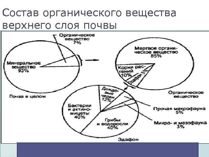 Состав органического вещества верхнего слоя почвы 