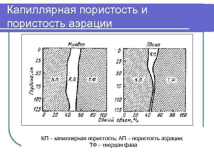 Капиллярная пористость и пористость аэрации КП – капиллярная пористость; АП – пористость аэрации; ТФ