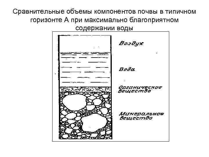 Сравнительные объемы компонентов почвы в типичном горизонте А при максимально благоприятном содержании воды 