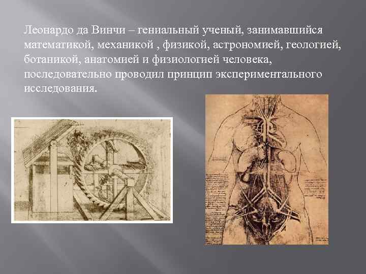 Леонардо да Винчи – гениальный ученый, занимавшийся математикой, механикой , физикой, астрономией, геологией, ботаникой,