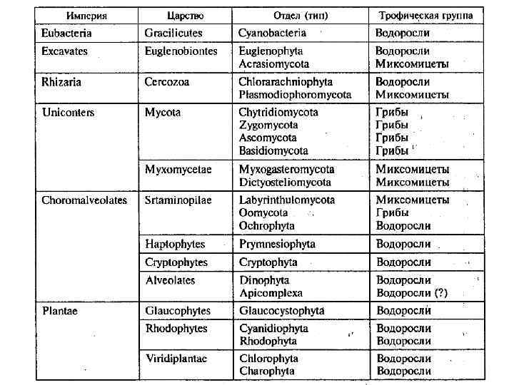 Эволюция грибов схема