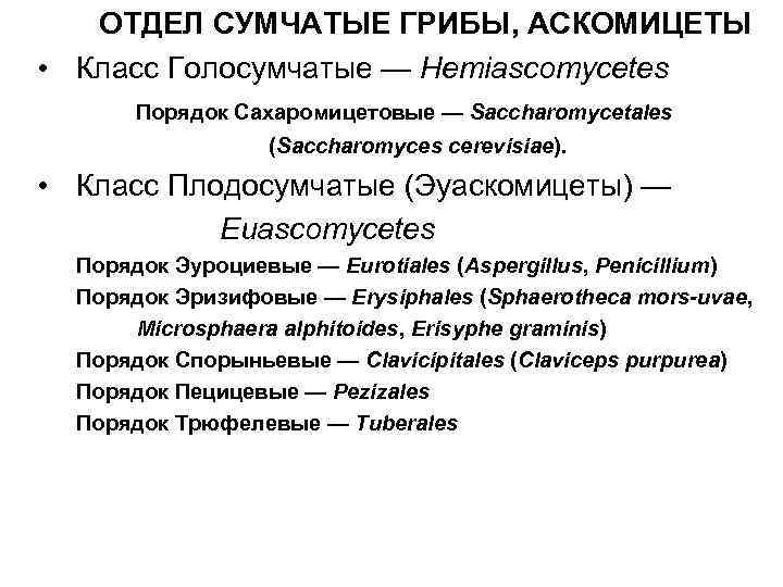 ОТДЕЛ СУМЧАТЫЕ ГРИБЫ, АСКОМИЦЕТЫ • Класс Голосумчатые — Hemiascomycetes Порядок Сахаромицетовые — Saccharomycetales (Saccharomyces