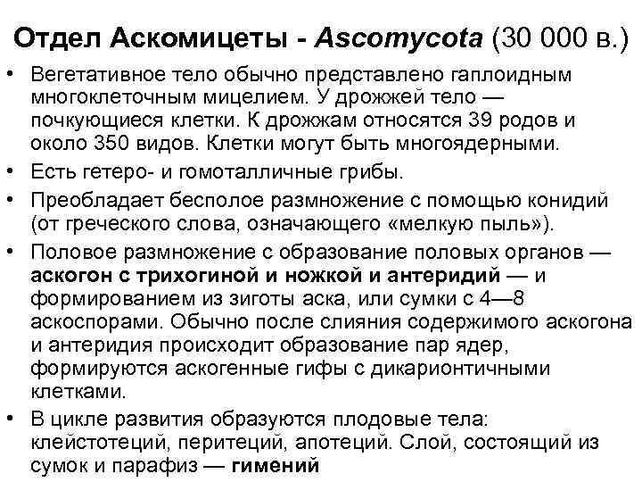 Отдел Аскомицеты - Ascomycota (30 000 в. ) • Вегетативное тело обычно представлено гаплоидным