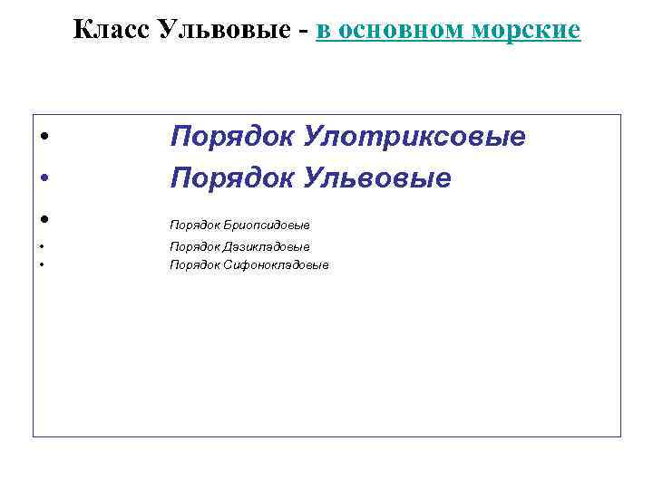 Класс Ульвовые - в основном морские • • • Порядок Улотриксовые Порядок Ульвовые •