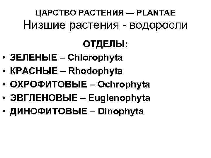 ЦАРСТВО РАСТЕНИЯ — PLANTAE Низшие растения - водоросли • • • ОТДЕЛЫ: ЗЕЛЕНЫЕ –