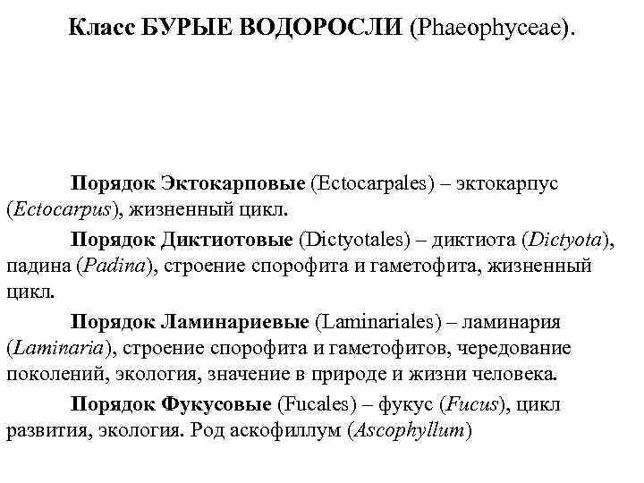 Класс БУРЫЕ ВОДОРОСЛИ (Phaeophyceae). Порядок Эктокарповые (Ectocarpales) – эктокарпус (Ectocarpus), жизненный цикл. Порядок Диктиотовые