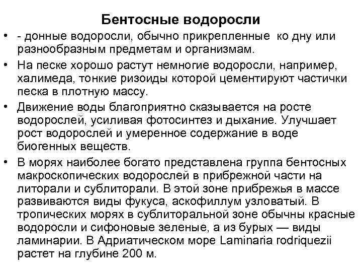 Бентосные водоросли • - донные водоросли, обычно прикрепленные ко дну или разнообразным предметам и