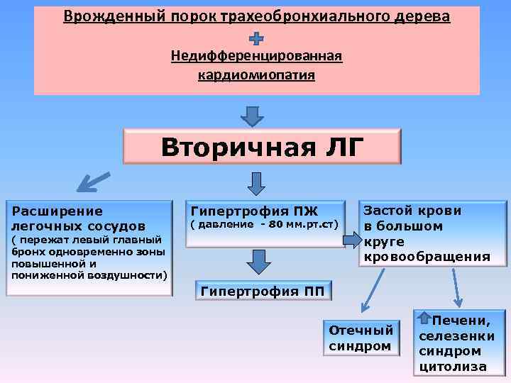 Врожденный порок трахеобронхиального дерева Недифференцированная кардиомиопатия Вторичная ЛГ Расширение легочных сосудов Гипертрофия ПЖ (