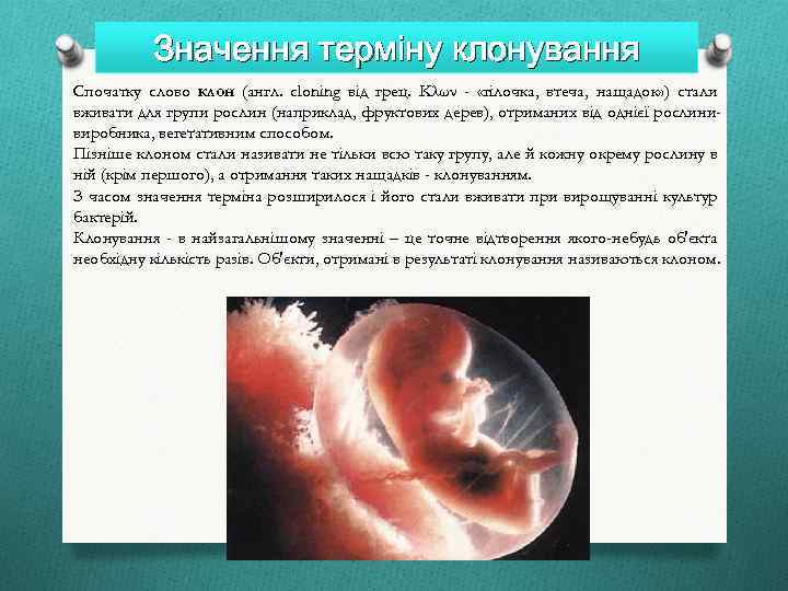 Значення терміну клонування Спочатку слово клон (англ. cloning від грец. Κλων - «гілочка, втеча,