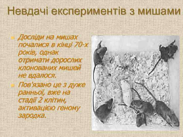 Невдачі експериментів з мишами n n Досліди на мишах почалися в кінці 70 -х