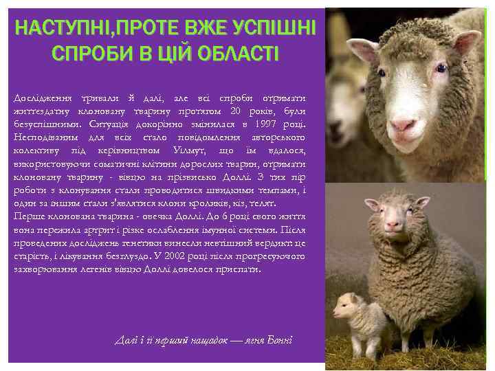 НАСТУПНІ, ПРОТЕ ВЖЕ УСПІШНІ СПРОБИ В ЦІЙ ОБЛАСТІ Дослідження тривали й далі, але всі