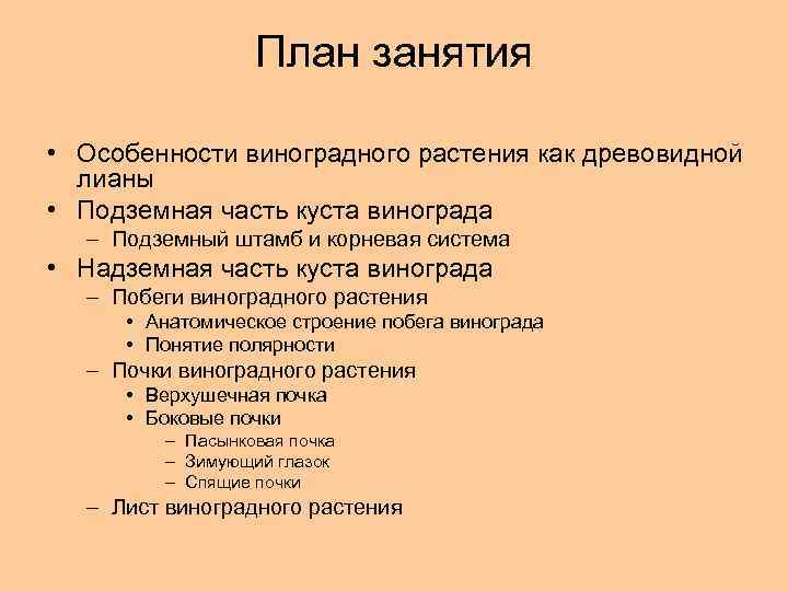 План занятия • Особенности виноградного растения как древовидной лианы • Подземная часть куста винограда