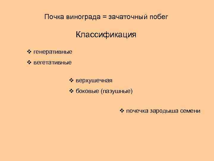 Почка винограда = зачаточный побег Классификация v генеративные v вегетативные v верхушечная v боковые