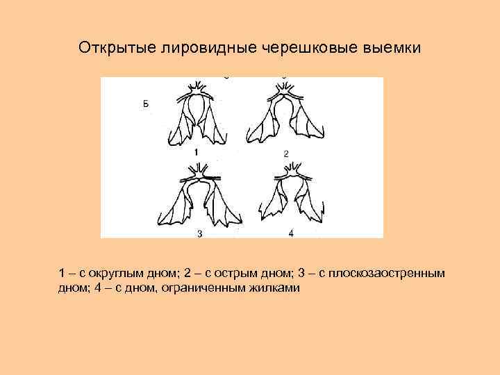 Открытые лировидные черешковые выемки 1 – с округлым дном; 2 – с острым дном;