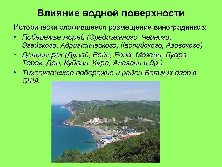 Влияние водной поверхности Исторически сложившееся размещение виноградников: • Побережье морей (Средиземного, Черного, Эгейского, Адриатического,