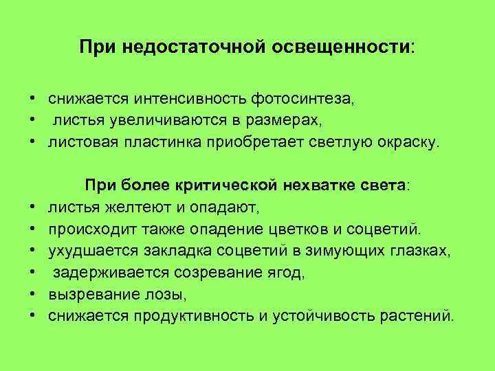 При недостаточной освещенности: • снижается интенсивность фотосинтеза, • листья увеличиваются в размерах, • листовая