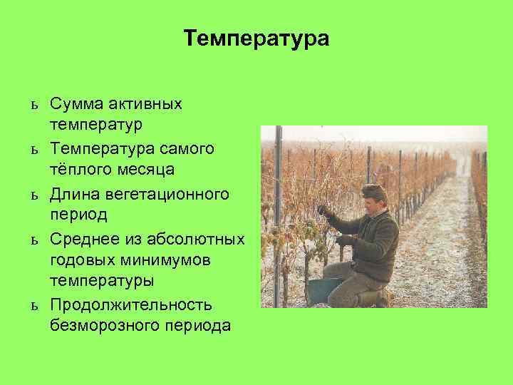 Температура ь Сумма активных температур ь Температура самого тёплого месяца ь Длина вегетационного период