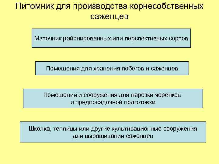 Питомник для производства корнесобственных саженцев Маточник районированных или перспективных сортов Помещения для хранения побегов