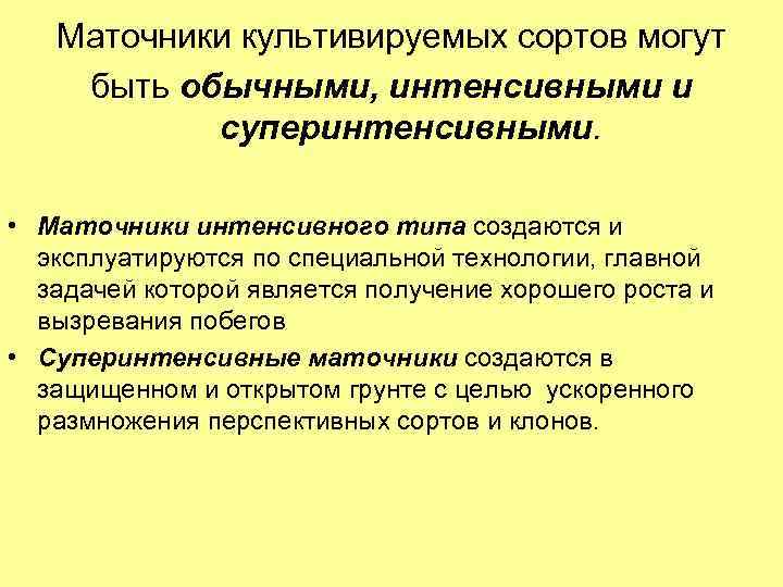 Маточники культивируемых сортов могут быть обычными, интенсивными и суперинтенсивными. • Маточники интенсивного типа создаются
