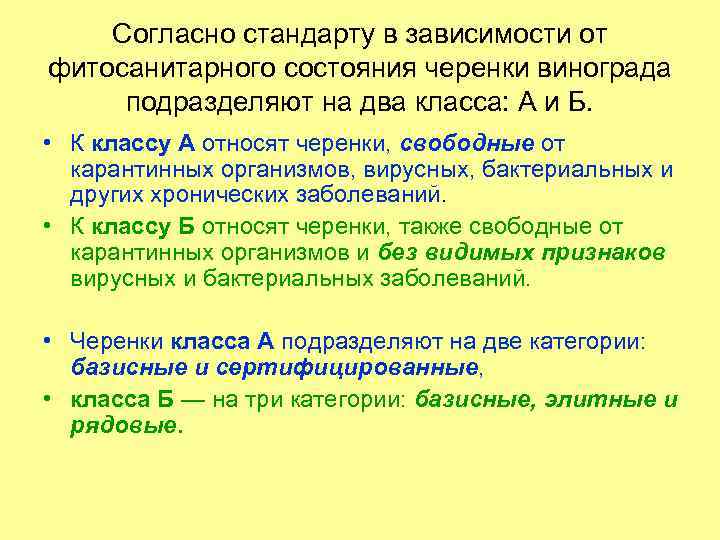 Согласно стандарту в зависимости от фитосанитарного состояния черенки винограда подразделяют на два класса: А