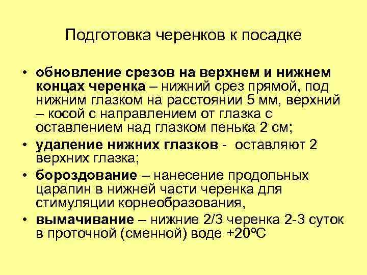 Подготовка черенков к посадке • обновление срезов на верхнем и нижнем концах черенка –