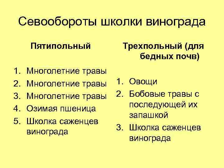 Севообороты школки винограда Пятипольный 1. 2. 3. 4. 5. Многолетние травы Озимая пшеница Школка