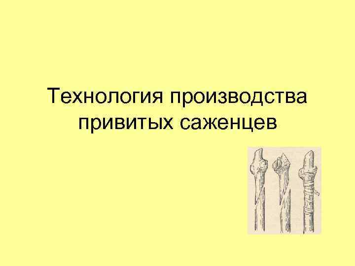 Технология производства привитых саженцев 