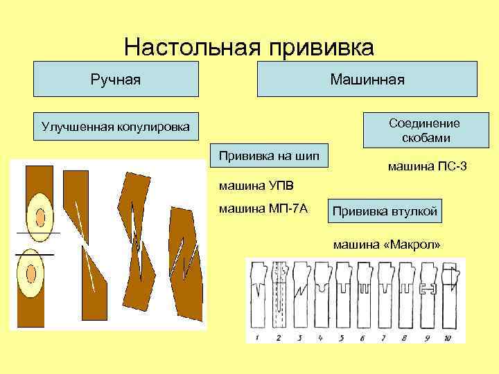 Настольная прививка Ручная Машинная Соединение скобами Улучшенная копулировка Прививка на шип машина ПС-3 машина