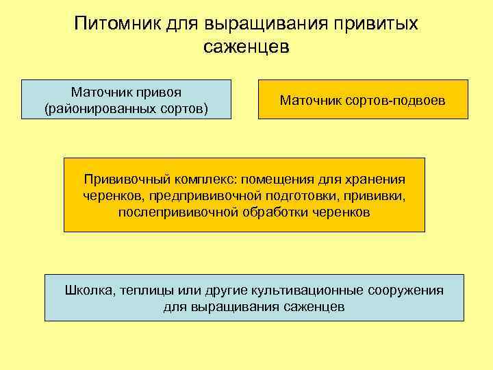 Питомник для выращивания привитых саженцев Маточник привоя (районированных сортов) Маточник сортов-подвоев Прививочный комплекс: помещения